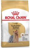 Yorkshire Terrier Adult 