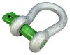 Lyr Schackel Green Pin