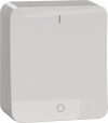 Schneider Electric strömbrytare 2-pol