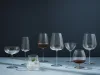 Cognacsglas Optica