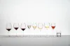 Champagneglas Veritas
