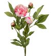 Pion