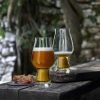 Ölglas Birrateque Ipa/Ale