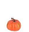 Dekoration Pumpa