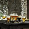 Ölglas Birrateque Ipa/Ale