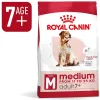 Medium Adult 7+ 